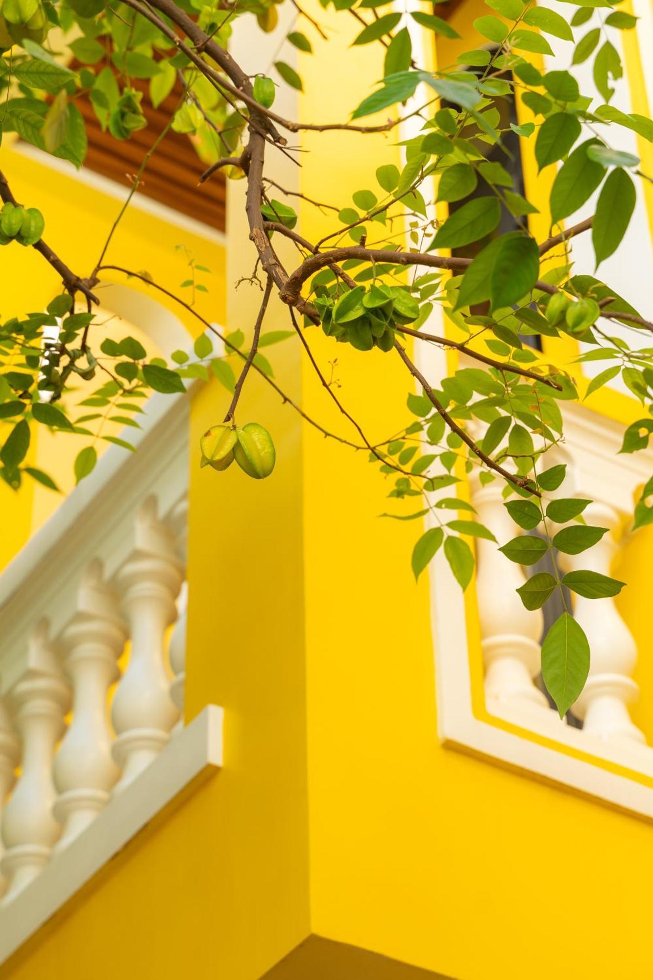 Quyen'S House Homestay Hoi An Exterior photo